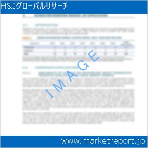 市場と産業調査レポートのイメージ